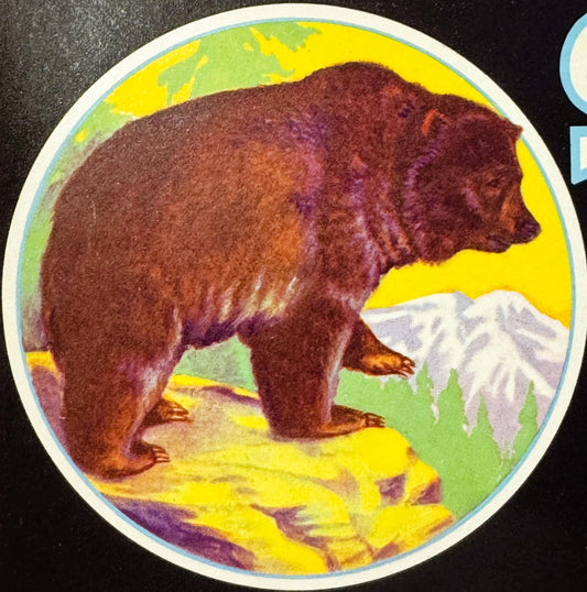 Vintage 1950s Silver Tip Brand Crate Label — Blue Anchor / California Fruit Exchange, Strathmore CA Bear Art