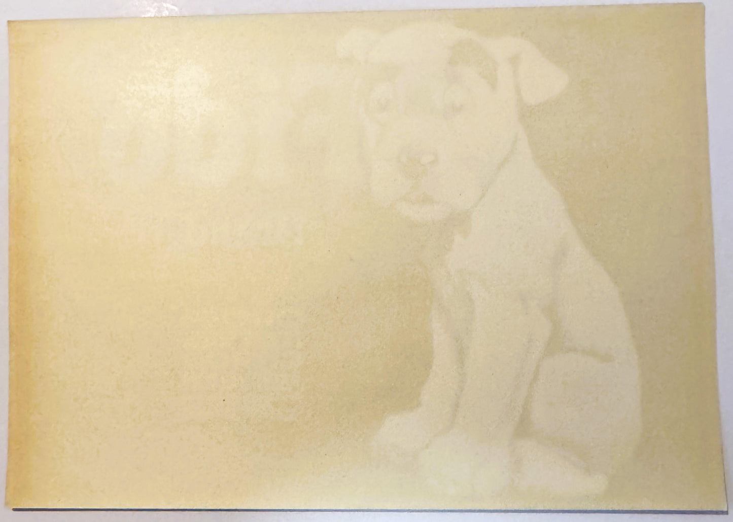 Antique 1930s Fido Brand Citrus Crate Label 🍎 Orosi Tulare County California