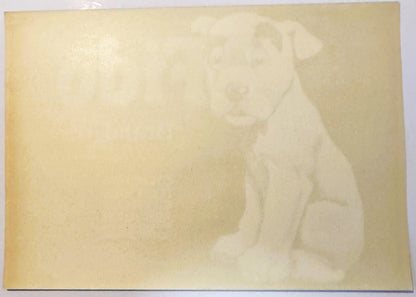 Antique 1930s Fido Brand Citrus Crate Label 🍎 Orosi Tulare County California