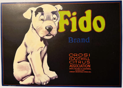 Antique 1930s Fido Brand Citrus Crate Label 🍎 Orosi Tulare County California