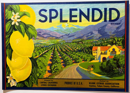 Splendid Brand lemon crate label: a cluster of lemons with blossoms at left, a road through a citrus grove to a Spanish-style house under snowy mountains, packed by Klink Citrus Association, Ivanhoe, Tulare County.