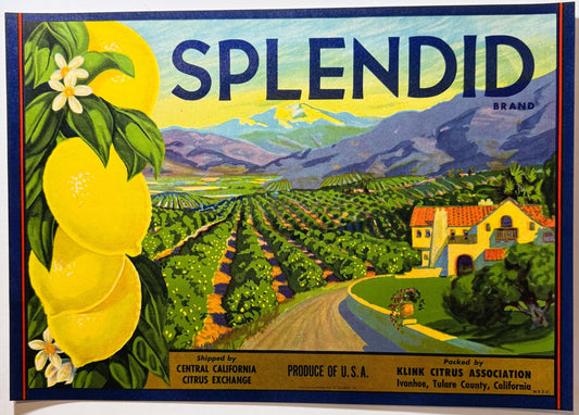 Vintage 1950s Splendid Lemons Crate Label from Ivanhoe, California