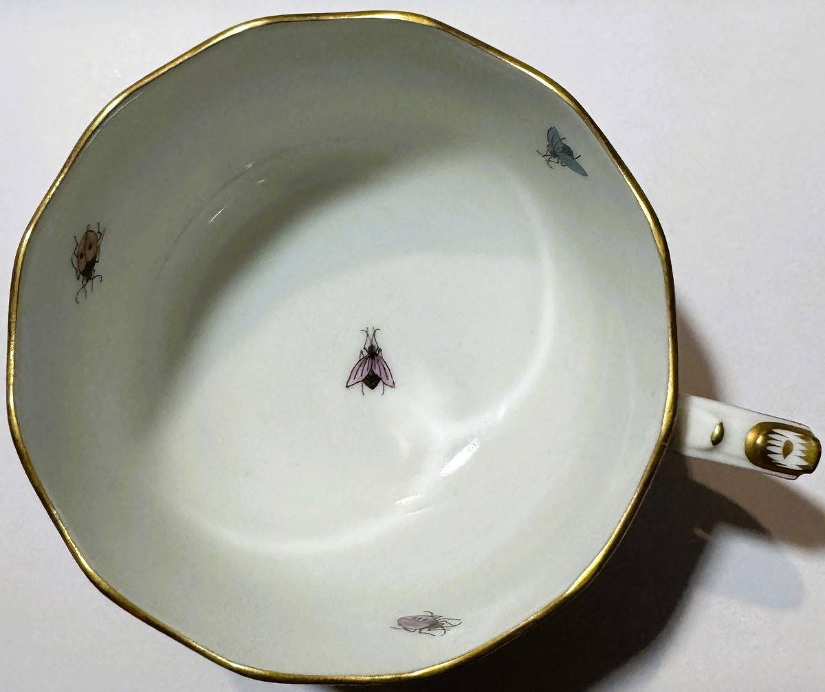Overhead view of white porcelain teacup with gold rim and handle, decorated with hand-painted insects including a pink moth a