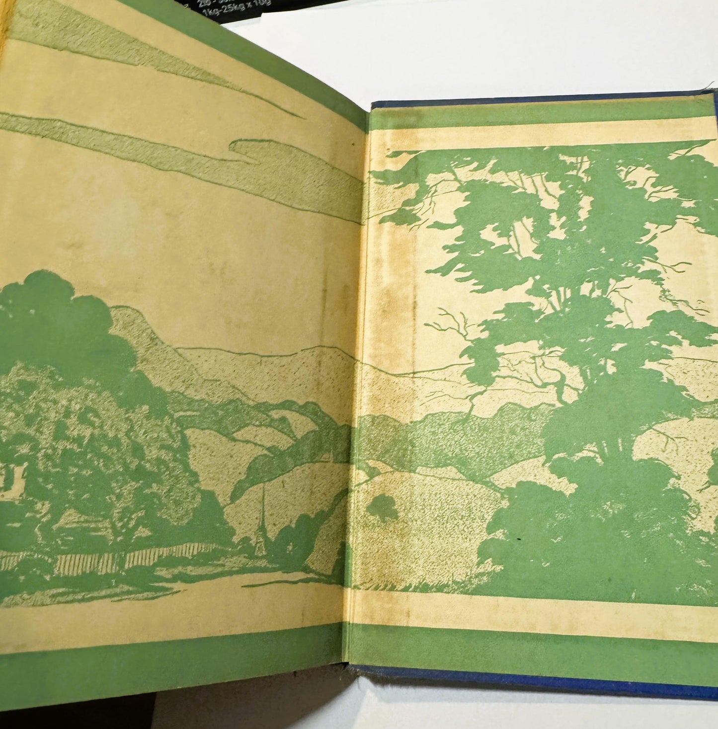 Open antique book with green and cream illustrated endpapers showing pastoral landscape scenes with trees and fields