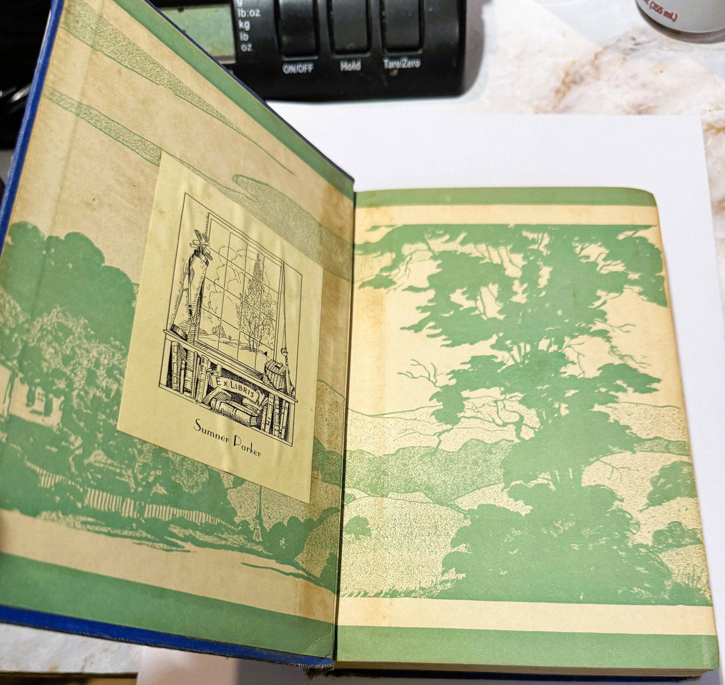 Open antique book with green and cream illustrated endpapers, showing an ex libris bookplate labeled "Sumner Porter" on left 