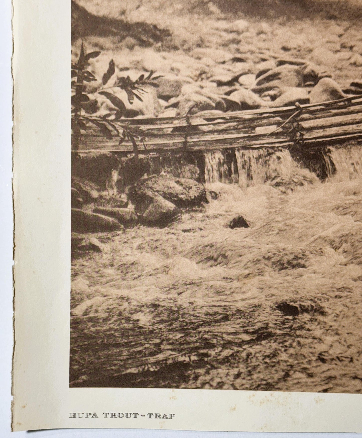 Sepia-toned photogravure showing a wooden fish trap structure over water with rocks and vegetation, captioned "HUPA TROUT-TRA