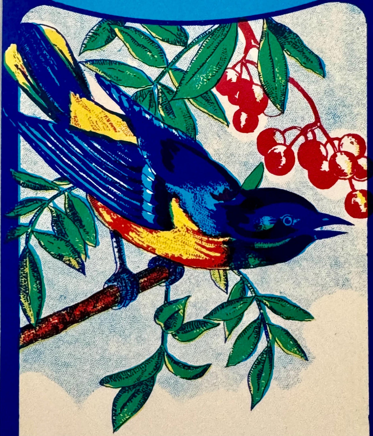Vintage lithograph label featuring a blue bird with yellow and red markings perched on a branch among green leaves and red be