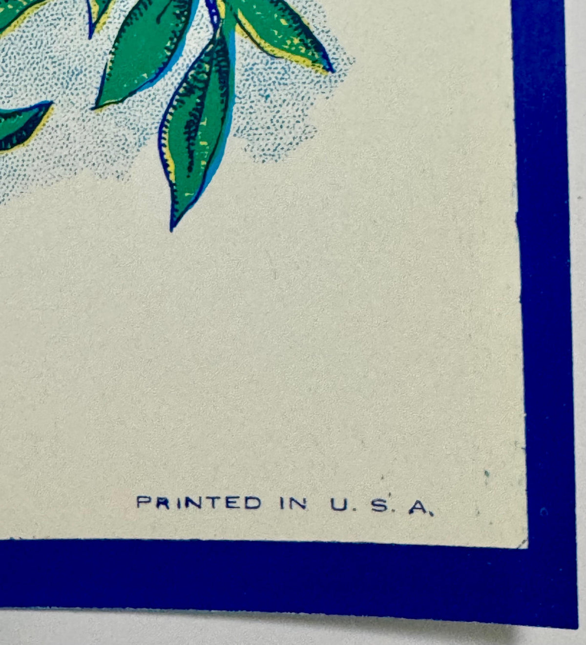 Close-up of vintage broom label corner showing green leaves with blue accents, cream background, and "PRINTED IN U.S.A." text