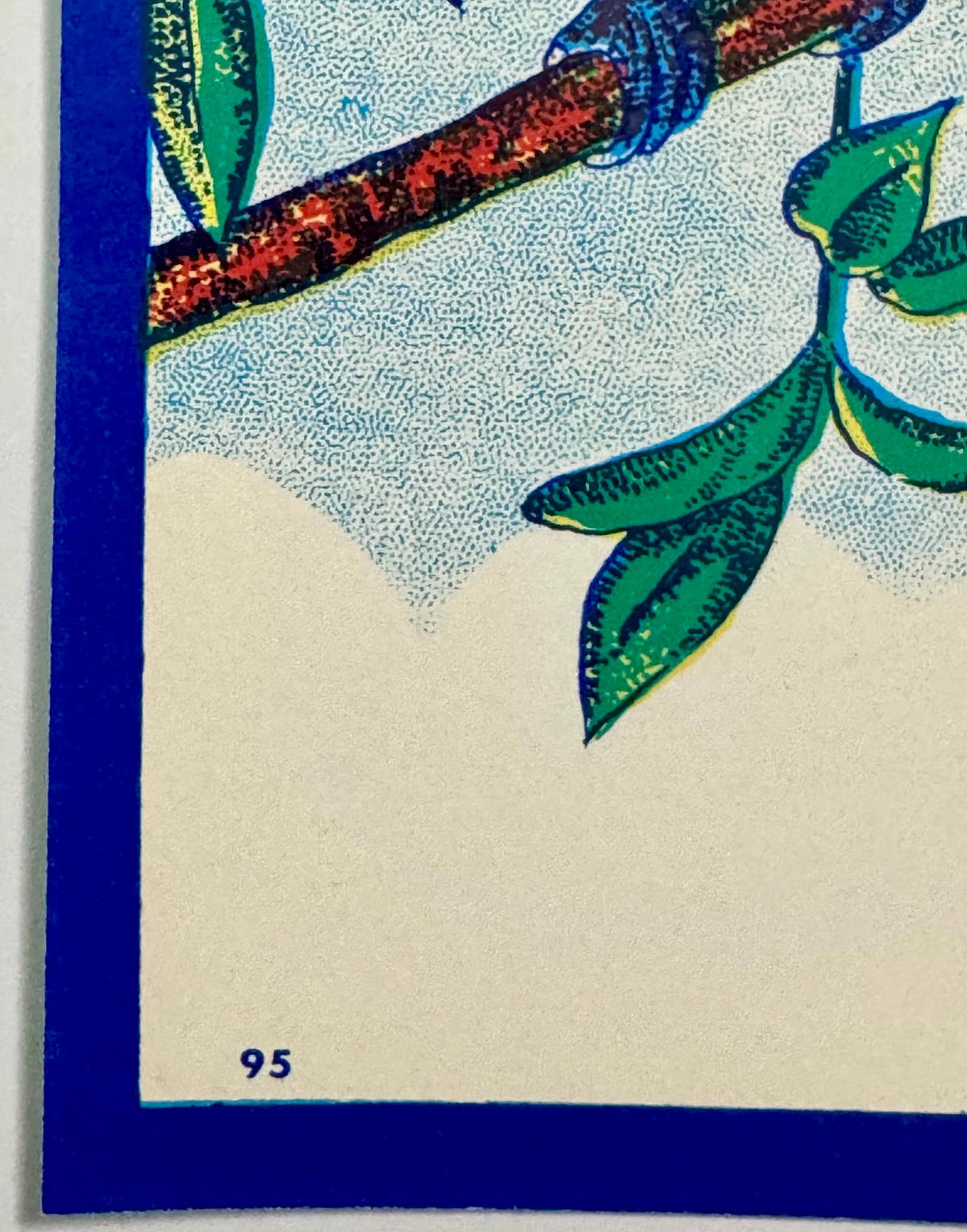 Close-up of vintage lithographed label corner showing colorful botanical branch with red berries and green leaves against lig