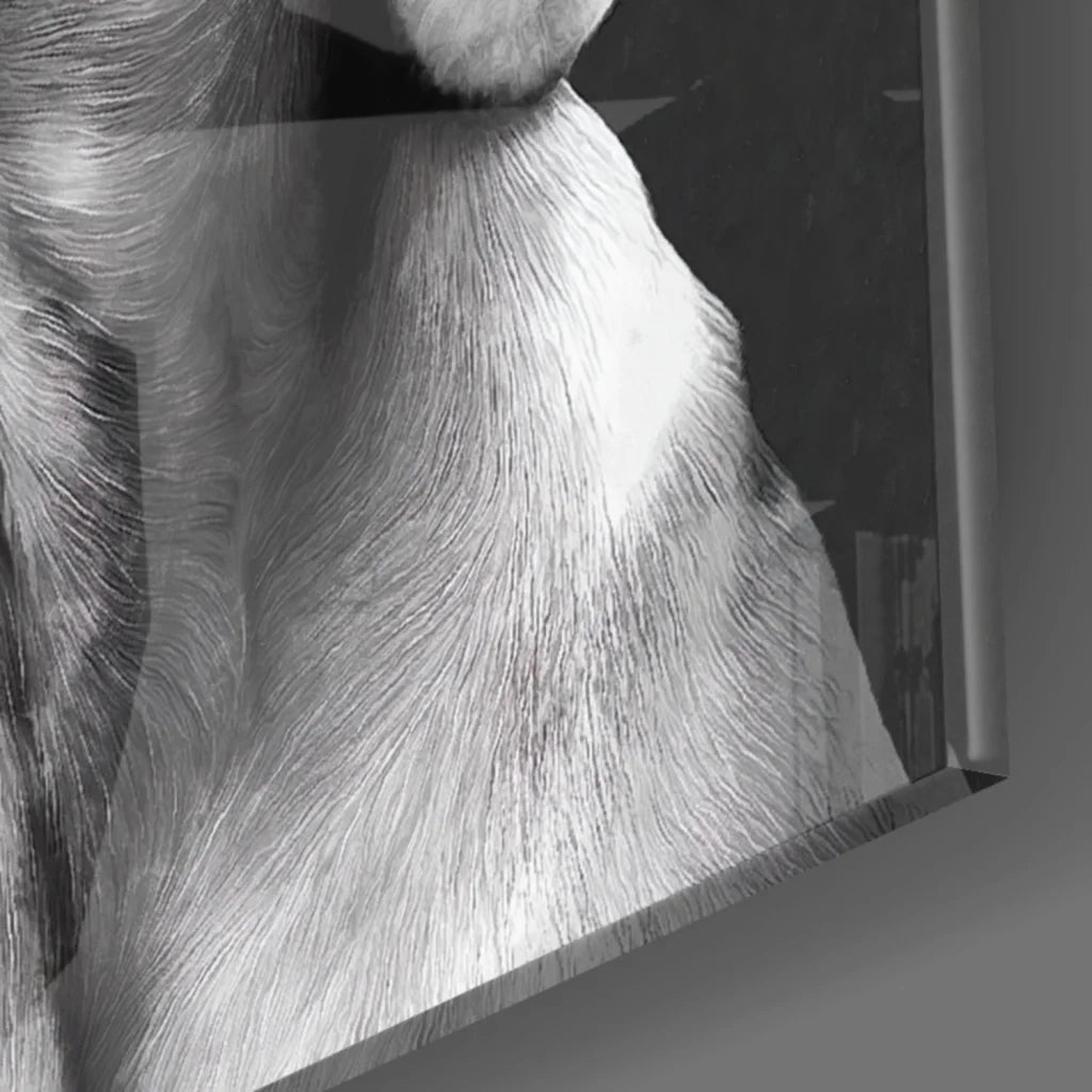 Black-and-white Weimaraner fur close-up in stunning glass wall art