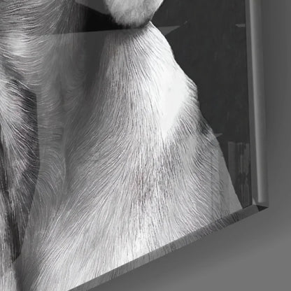 Black-and-white Weimaraner fur close-up in stunning glass wall art