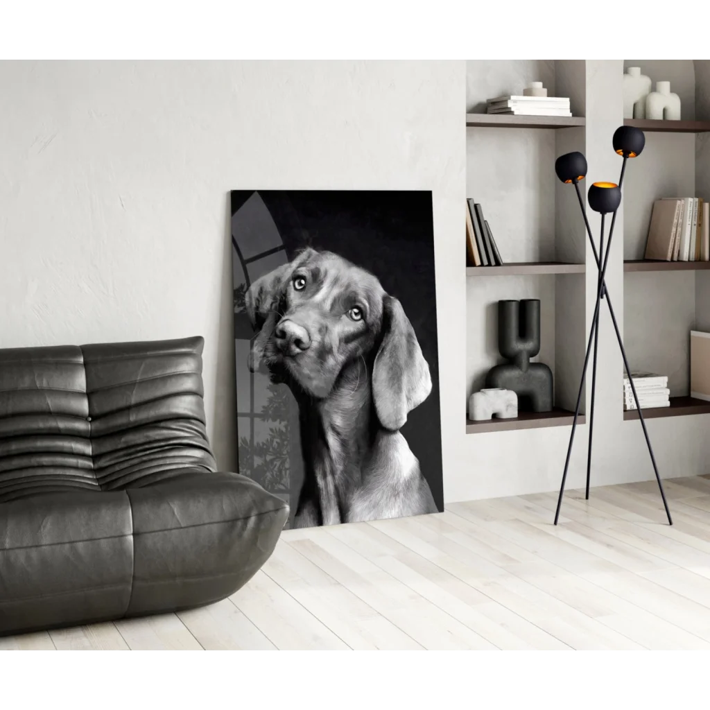 Stunning black-and-white Weimaraner dog portrait canvas wall art