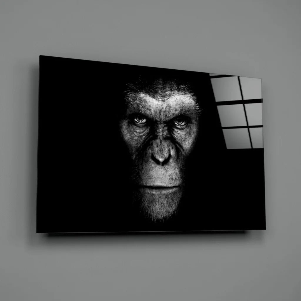 Dramatic black-and-white ape portrait canvas wall art with intense eyes