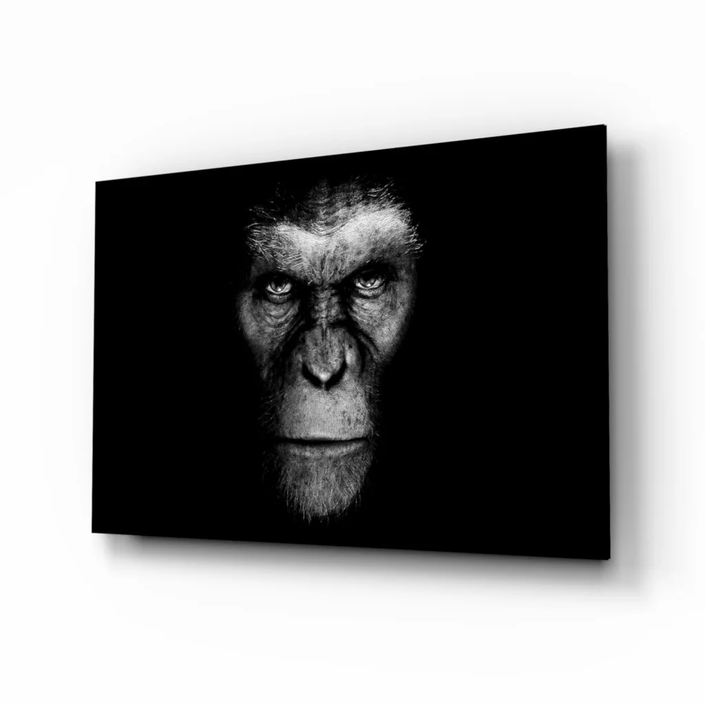 Dramatic black-and-white ape portrait canvas wall art