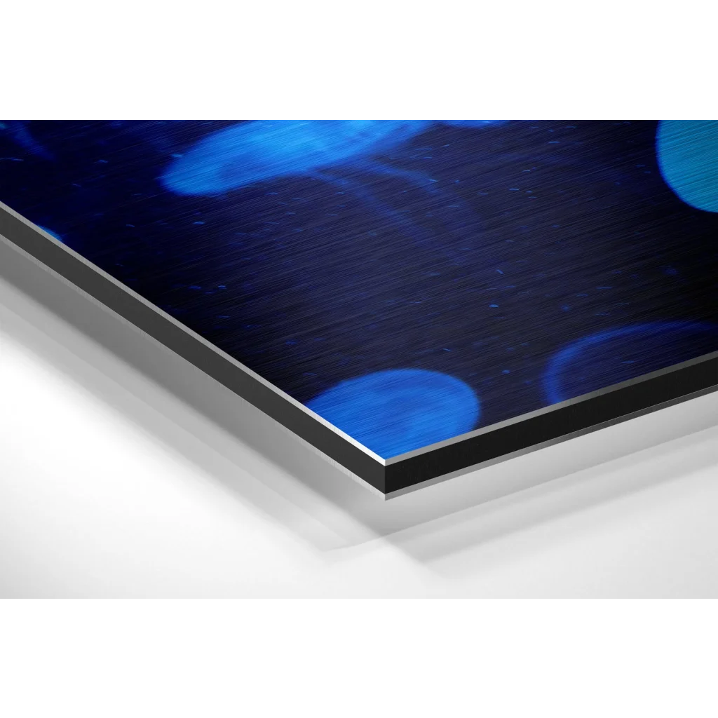 Jellyfish Brushed Aluminium Dibond Wall Art