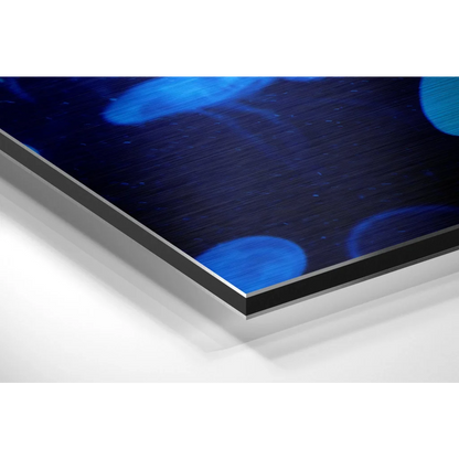 Blue jellyfish on brushed aluminium dibond metal wall art print