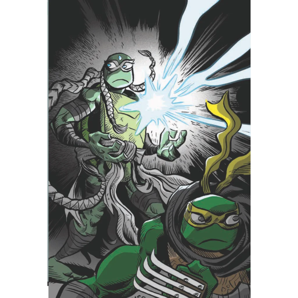 Jim Lawson Teenage Mutant Ninja Turtles in action poses from the complete collection set