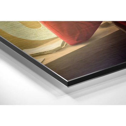 Stunning brushed aluminium dibond wall art with warm abstract tones