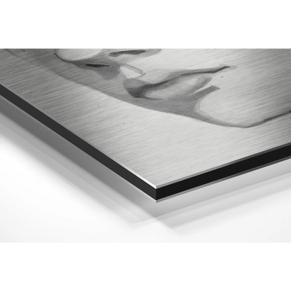 Sleek brushed aluminium dibond monochrome portrait with soft shading
