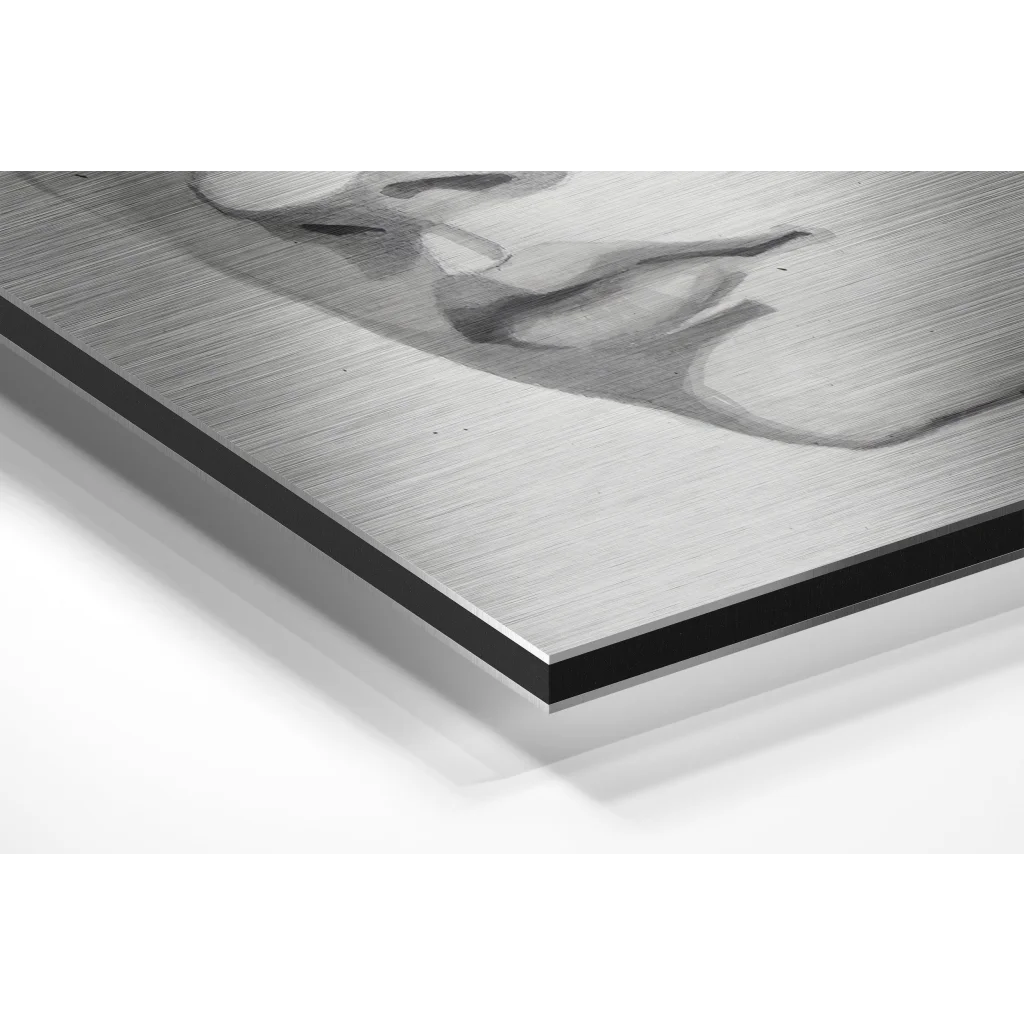 Stunning Brushed Aluminium Dibond Abstract Portrait Art | Glass Wall Art Print | vintageantiquesgifts.com