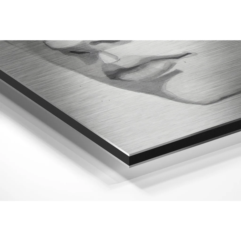 Stunning Brushed Aluminium Dibond Abstract Portrait Wall Art | Glass Wall Art Print | vintageantiquesgifts.com