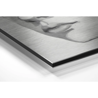 Stunning Brushed Aluminium Dibond Abstract Portrait Wall Art | Glass Wall Art Print | vintageantiquesgifts.com