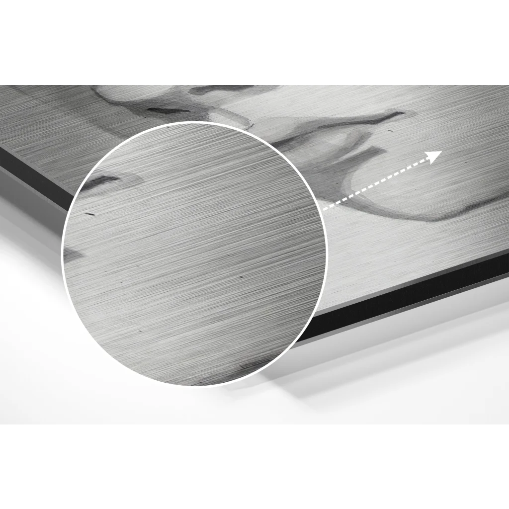 Stunning brushed aluminium dibond abstract portrait art in silver frame