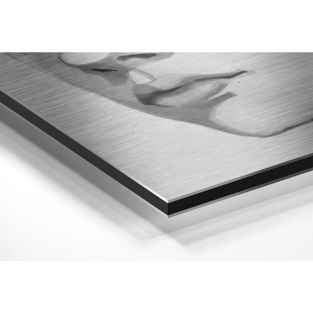 Stunning Brushed Aluminium Dibond Abstract Portrait Art | Glass Wall Art Print | vintageantiquesgifts.com