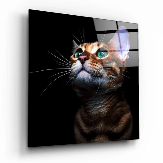 Stunning Tabby Cat Glass Wall Art With Vivid Green Eyes | Insigneart USA | vintageantiquesgifts.com