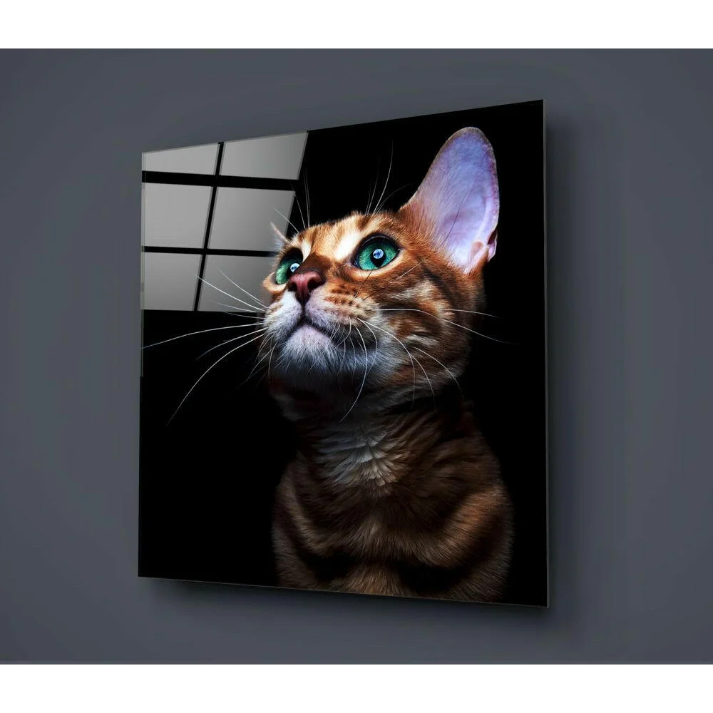 Stunning tabby cat glass wall art with vivid green eyes on black frame