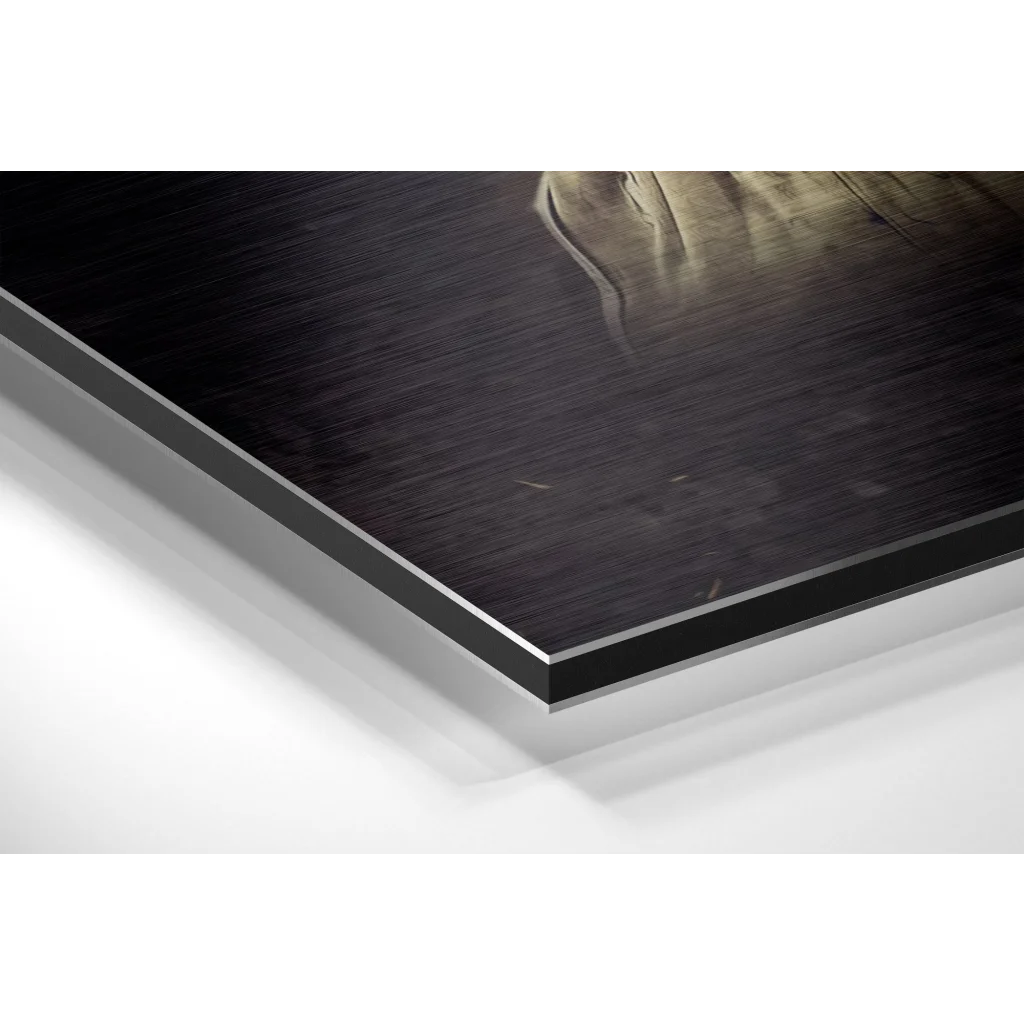 Kobe Bryant Brushed Aluminium Dibond Wall Art