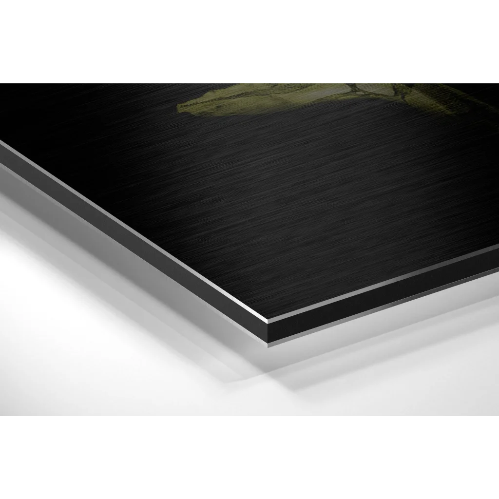 Stunning Brushed Aluminium Dibond Prints That Pop | Glass Wall Art Print | vintageantiquesgifts.com