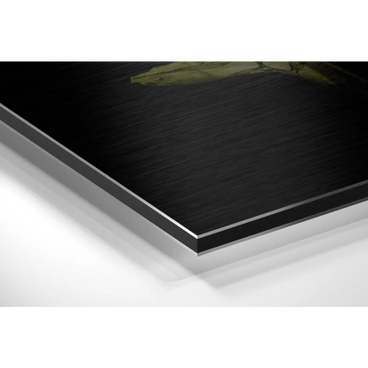 Stunning Brushed Aluminium Dibond Prints That Pop | Glass Wall Art Print | vintageantiquesgifts.com