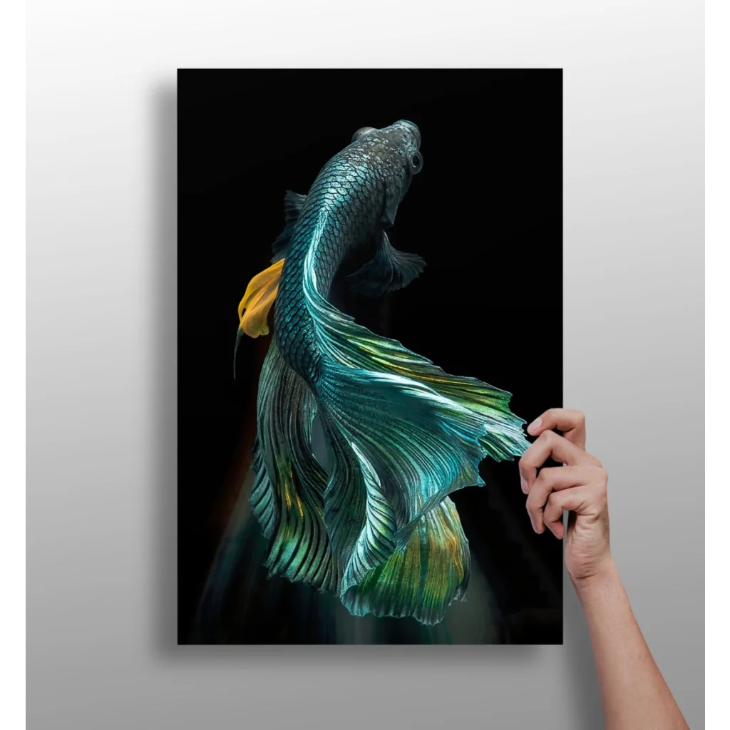 Stunning Betta Fish Insigne Aluminum Prints for Modern Walls | Insigneart USA | vintageantiquesgifts.com