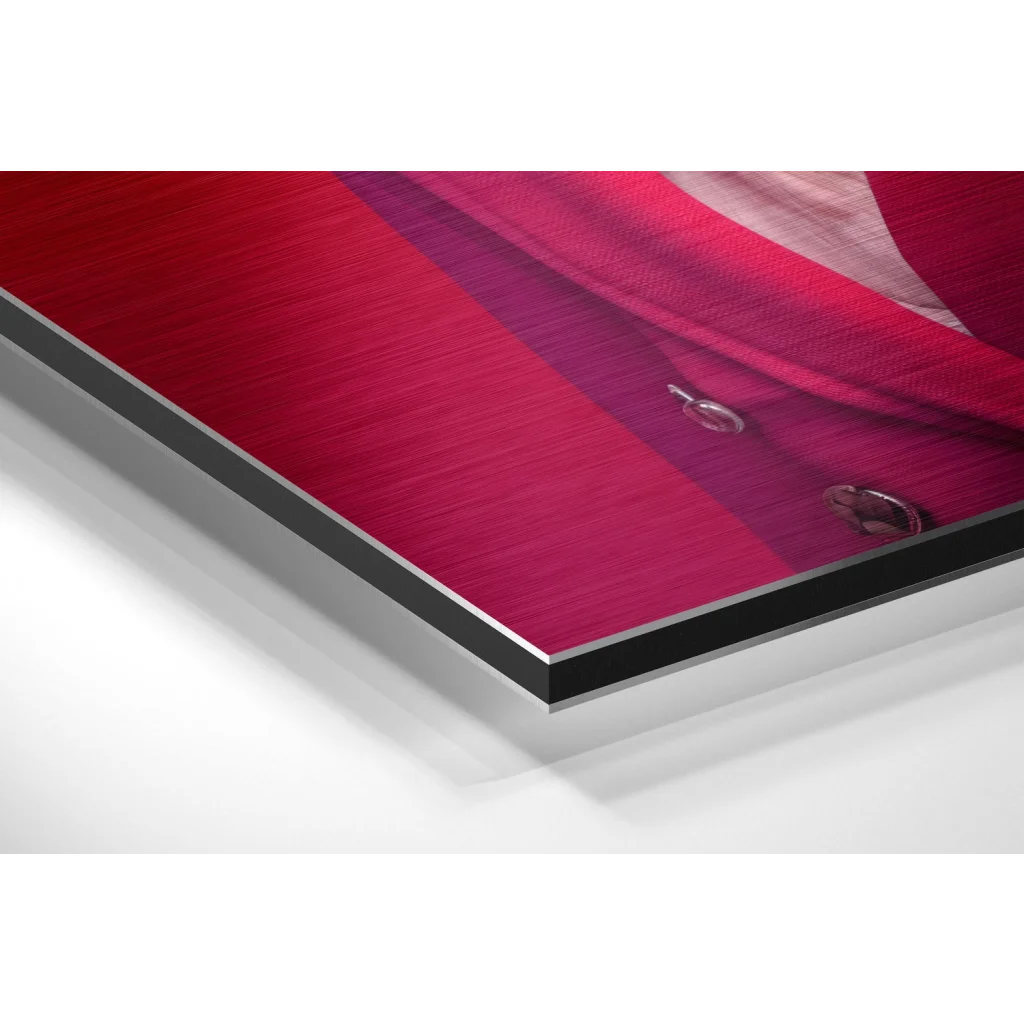 Vibrant red Dapper Goose blazer print on brushed aluminium dibond