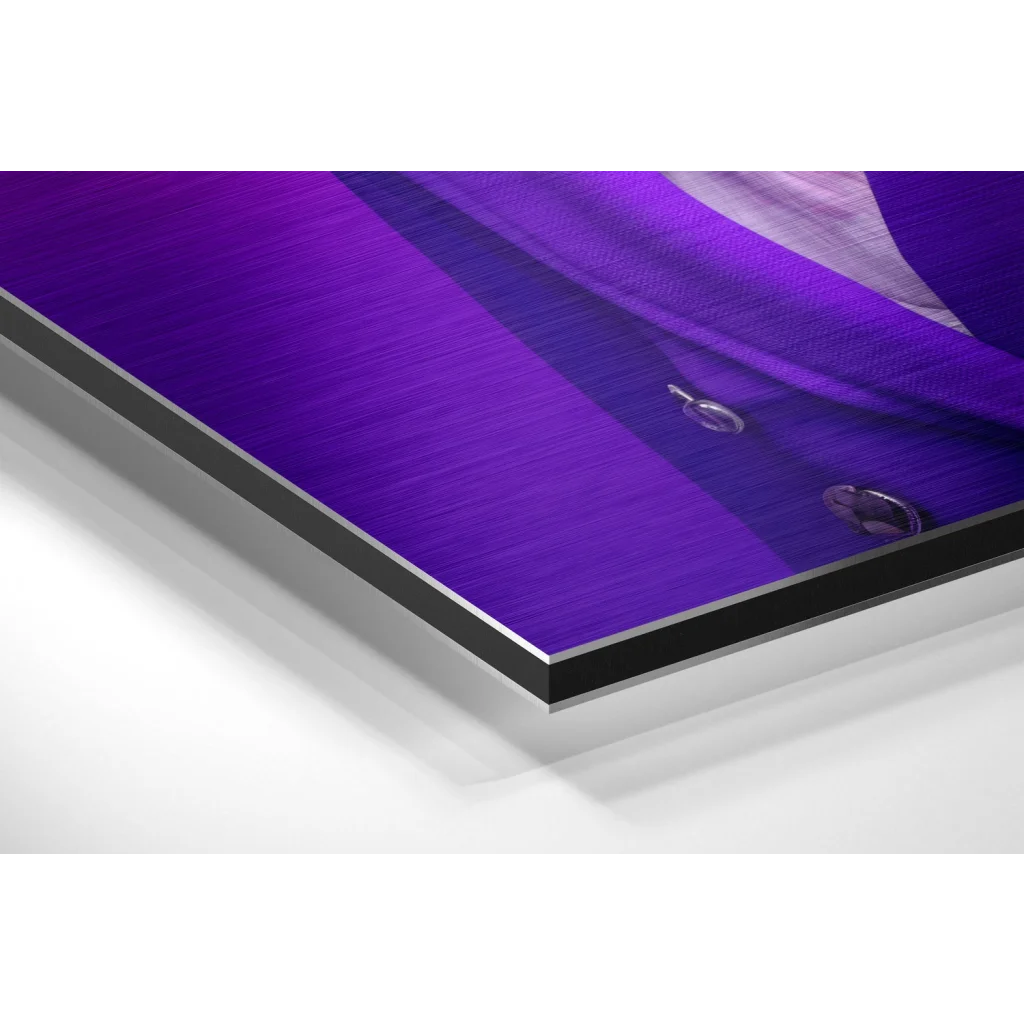 Glass Wall Art Vibrant purple metallic acrylic print of dapper purple goose art on brushed aluminium dibond