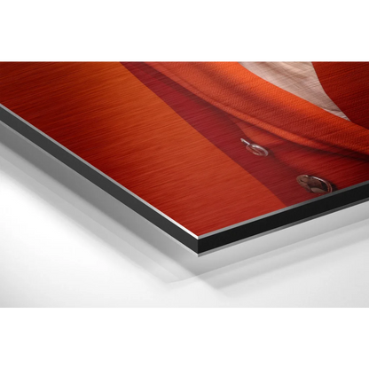Stunning Brushed Aluminium Dibond Art That Seriously Pops | Glass Wall Art Print | vintageantiquesgifts.com