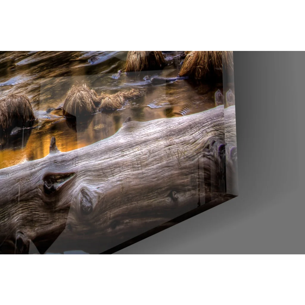 Rustic driftwood log in Yosemite Valley Golden Cliffs wall art