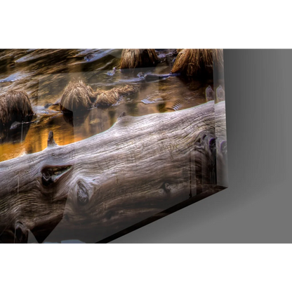 Rustic driftwood log in Yosemite Valley Golden Cliffs wall art