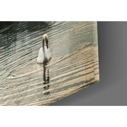White swan with black red beak in rippling Alpine lake glass wall art