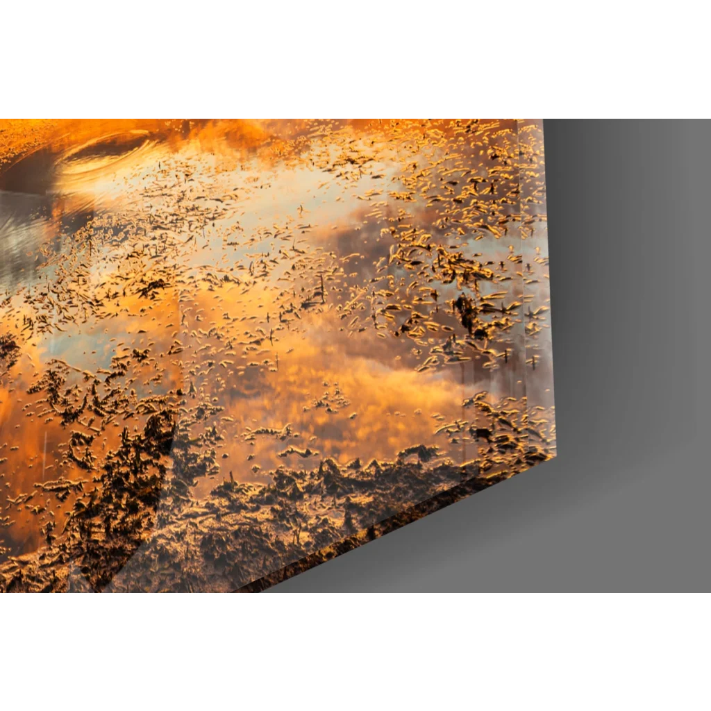 Vibrant orange sunset reflection on glass wall art with tree silhouettes