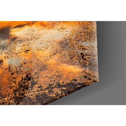 Vibrant orange sunset reflection on glass wall art with tree silhouettes