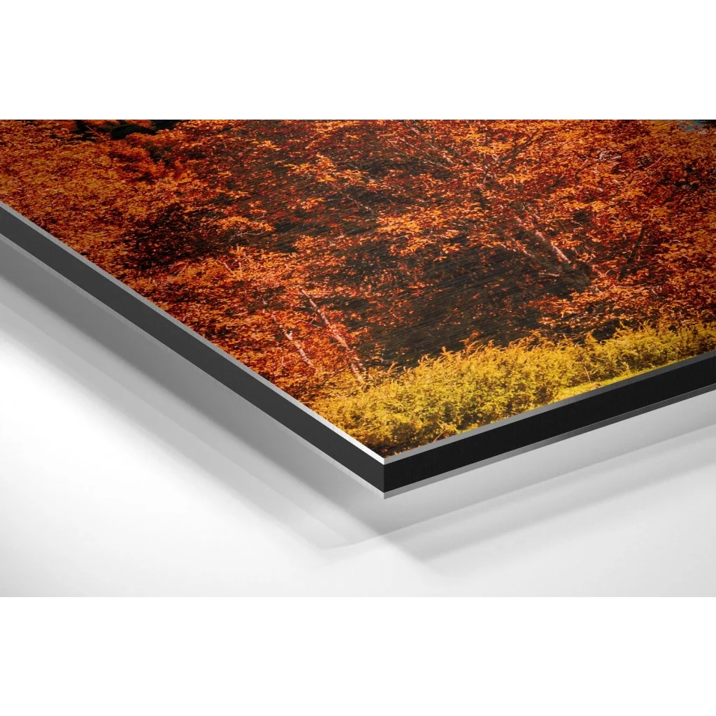 Stunning Autumn Forest Print on Brushed Aluminium Dibond | Glass Wall Art Print | vintageantiquesgifts.com
