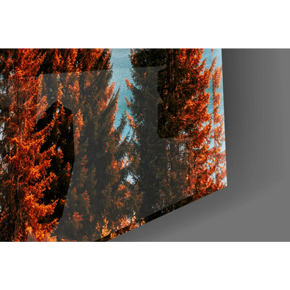 Vibrant autumn forest on transparent glass wall art with snowy peaks