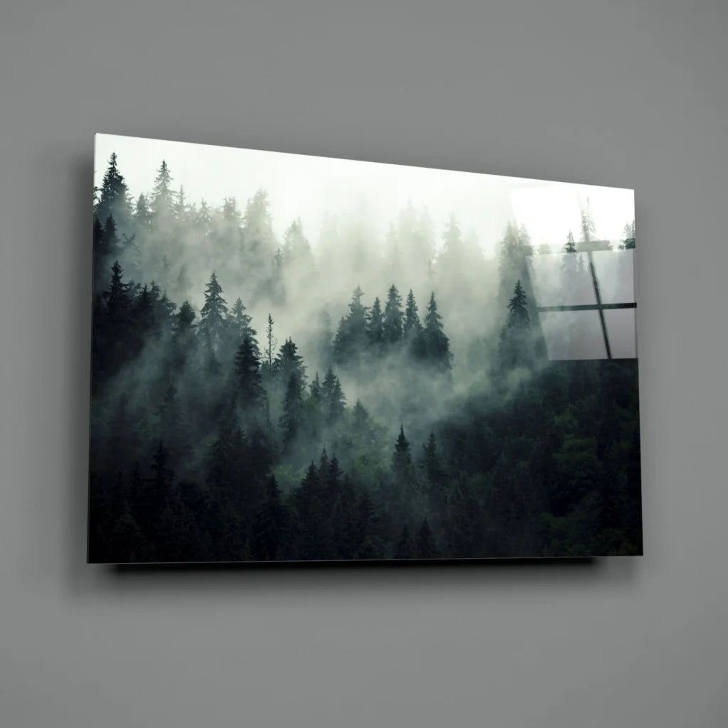 Sleek misty forest glass wall art with foggy evergreens