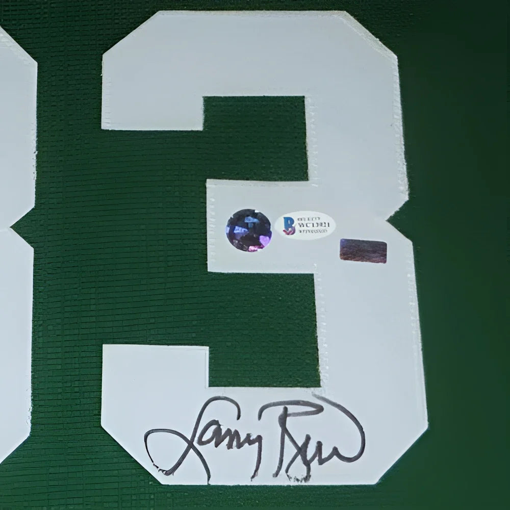 Larry Bird autographed green Boston Celtics deluxe framed jersey #33