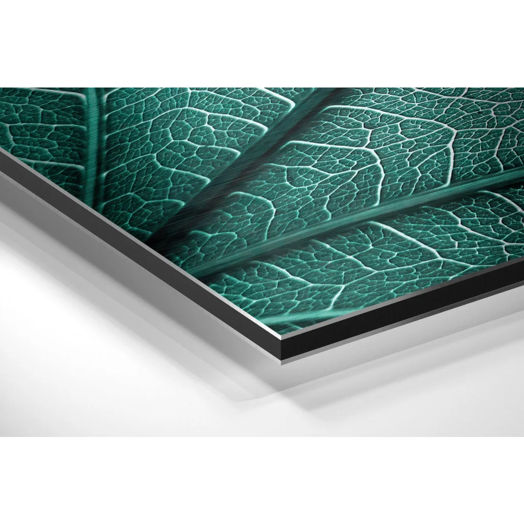 Stunning Green Leaf Print on Brushed Aluminium Dibond | Glass Wall Art Print | vintageantiquesgifts.com