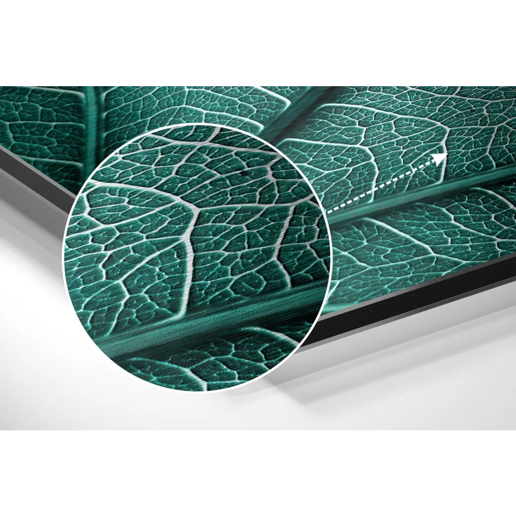 Stunning Green Leaf Print on Brushed Aluminium Dibond | Modern Wall Art Decor | vintageantiquesgifts.com