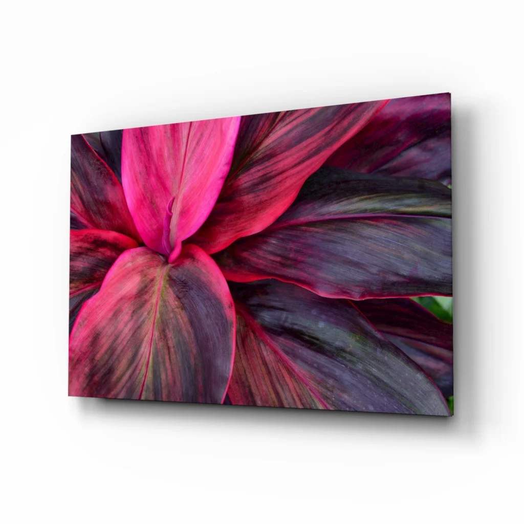 Vibrant pink purple leaf glass wall art print
