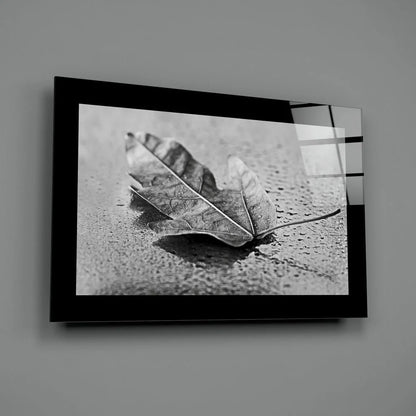Black and white glass wall art of wet maple leaf in black frame